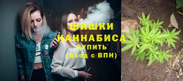 прущие грибы Вязьма